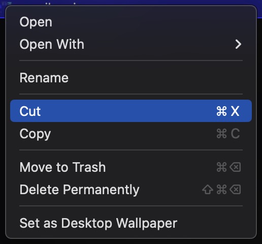 Screenshot of the cut option in an open context menu